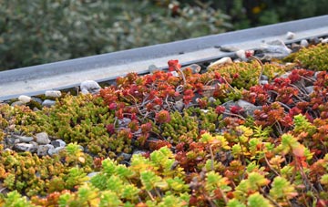 the cost of Vowchurch green roof installation