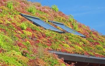 Vowchurch living roof systems